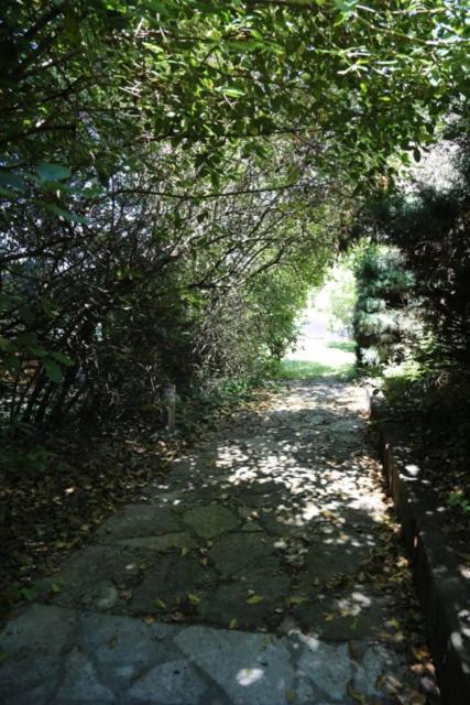 A L'Oree Des Cevennes Aigremont Екстериор снимка